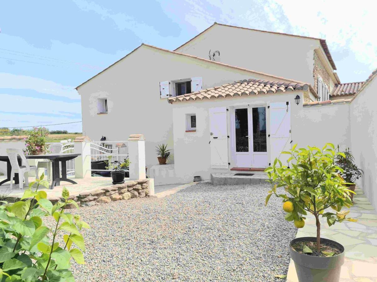 Gites A Moussan ,Domaine De La Barque A 5 Mins De Narbonne Exterior photo
