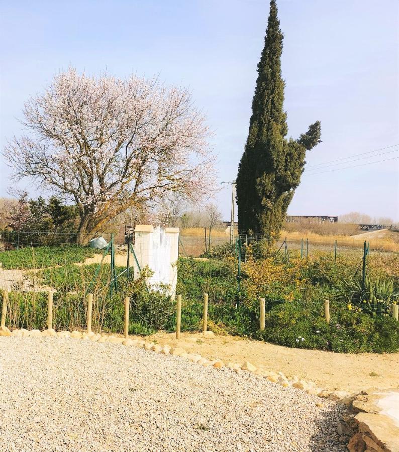 Gites A Moussan ,Domaine De La Barque A 5 Mins De Narbonne Exterior photo